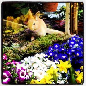 Lazy Sunday Stroll around Jacqueline Kennedy Onassis Reservoir new york city lifestyle fashion fitness food blog nyc