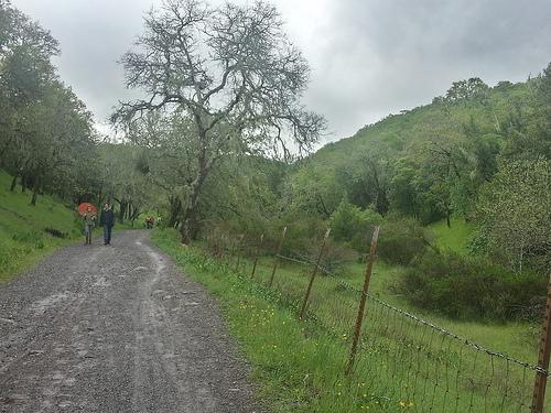 Annadel run