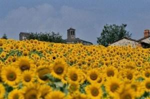 Time To Book A Holiday! Time To Book A Holiday!