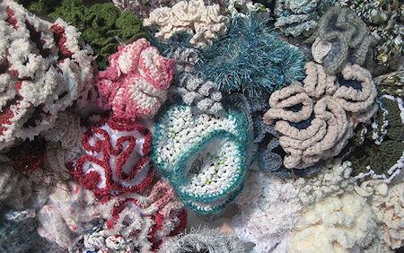 The Crochet Coral Reef Project