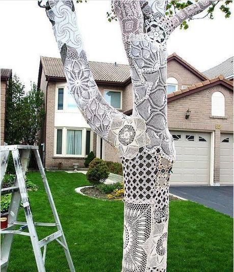 Lace Covered Tree