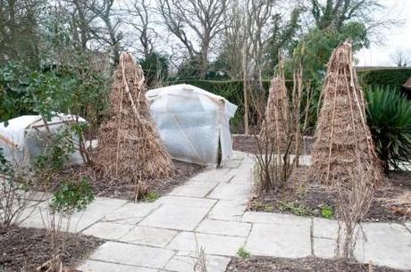 Exotic Garden all wrapped up at Great Dixter