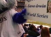 Tampa Rays Scratched Steve Irwin Their To-Do List Last Night