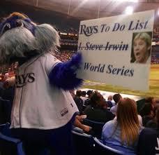 Tampa Bay Rays Scratched Steve Irwin Off Their To-Do List Last Night