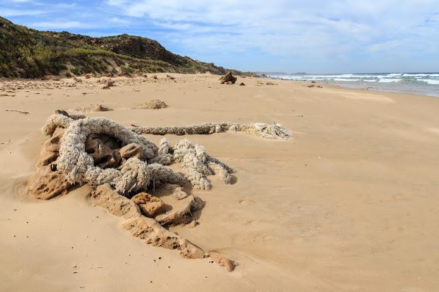 large piece of rope lying on beach