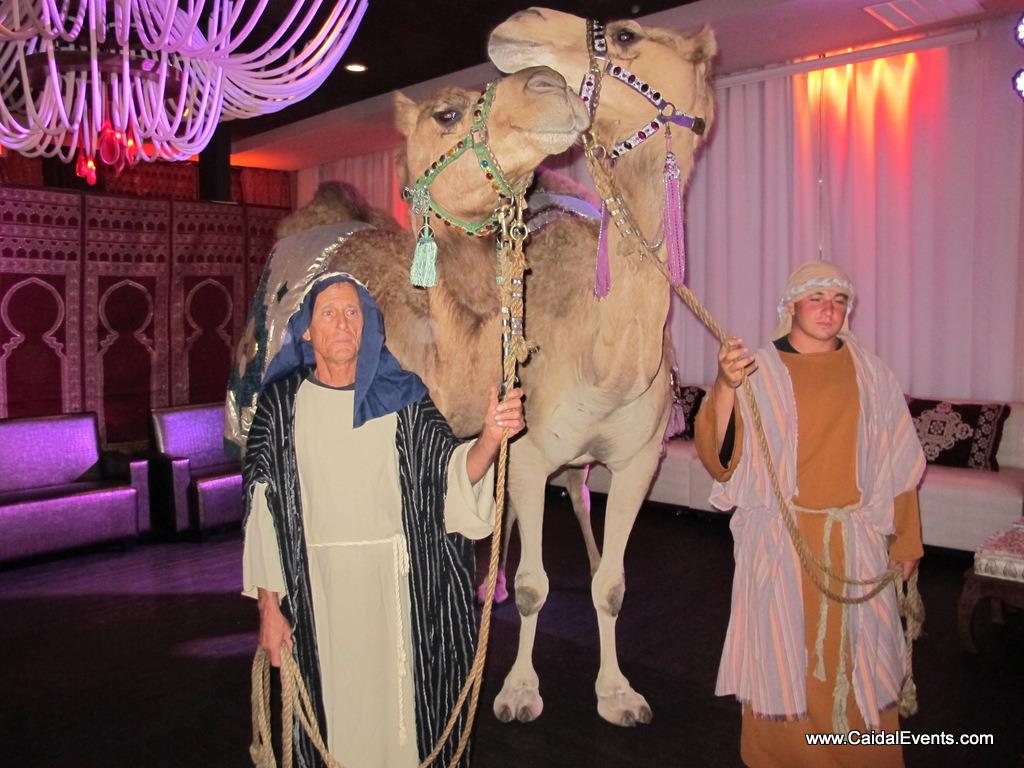 Miami Heat Chris Bosh Moroccan Themed Birthday party