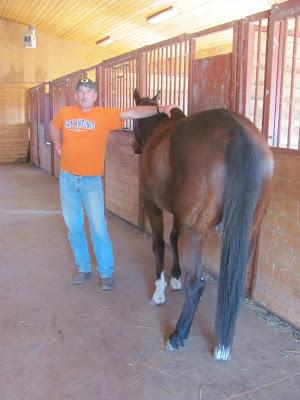 Boom-Boom - Learning to be a Horse!