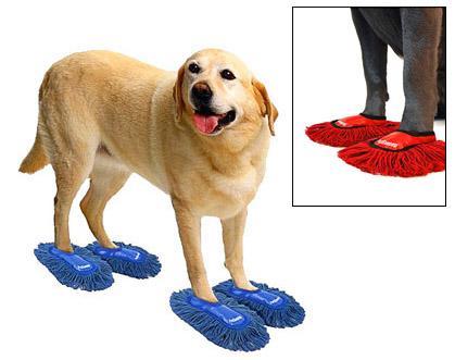 Three “MUST HAVE” Items Your DOG can't do Without!