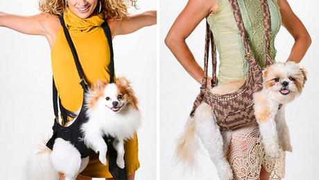 Three “MUST HAVE” Items Your DOG can't do Without!