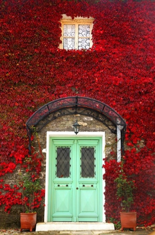 Front Door Climbers