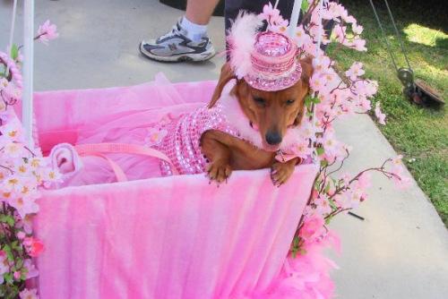 549187_513612935344418_981901008_n