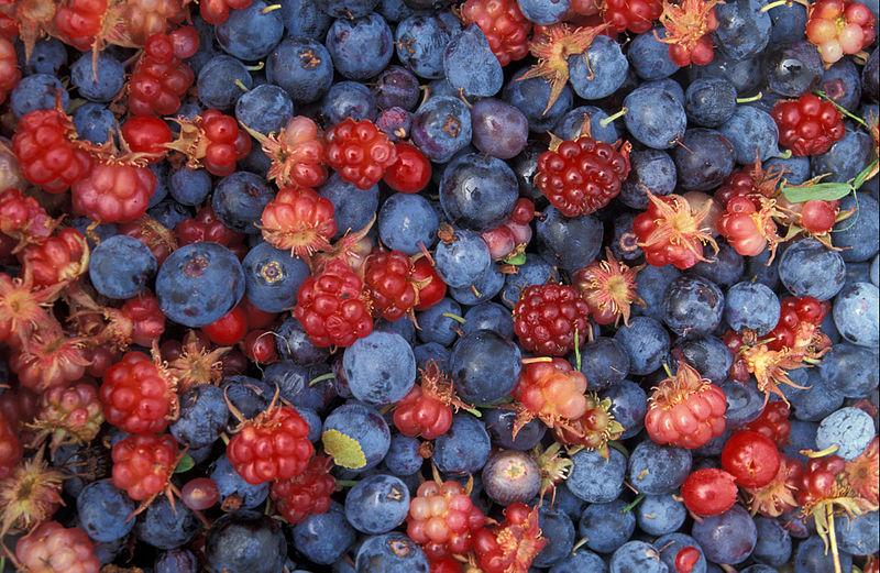 Spring Spotlight: Berries