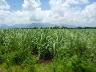 Hot and Cold Waters of Mambukal