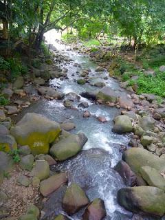 Hot and Cold Waters of Mambukal