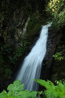 Hot and Cold Waters of Mambukal