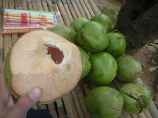 Hot and Cold Waters of Mambukal