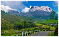 Summer's paradise; Munnar, Coorg, Ooty, Pahalgam