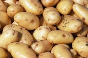 Pregnant Women Eat Potatoes