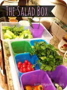 salad_box