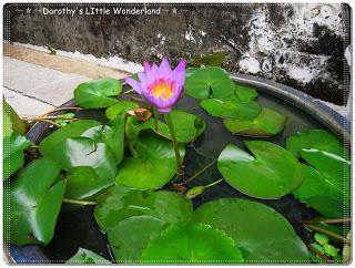 Macau - Mandarin's House