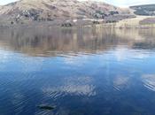 97/365 Walk Around Hallin