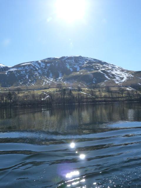 97/365 A walk around Hallin