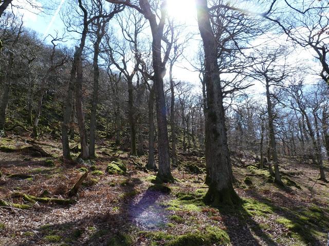 97/365 A walk around Hallin