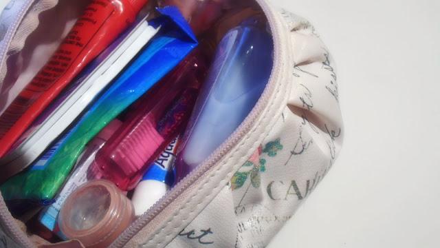 My Bag Within My Bag Essentials.