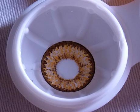 Circle Lens Review: Wondereye Brown from Pinky Paradise Circle Lens Review: Wondereye Brown from Pinky Paradise