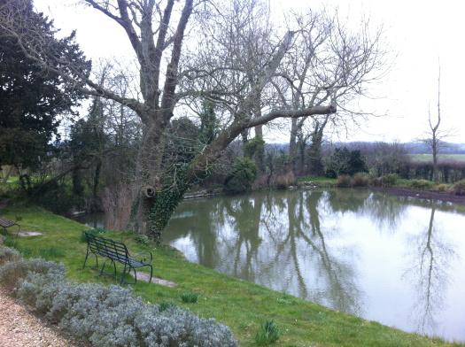 charleston pond