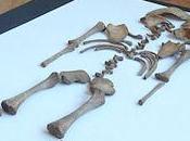 Unwanted Babies Haunt Roman-era Graveyard