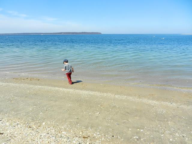 A Day at the Beach