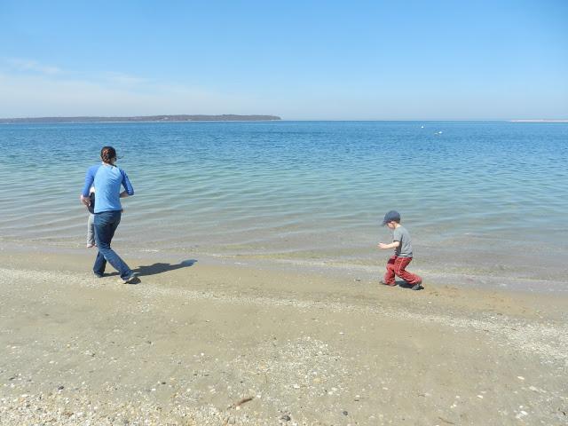 A Day at the Beach