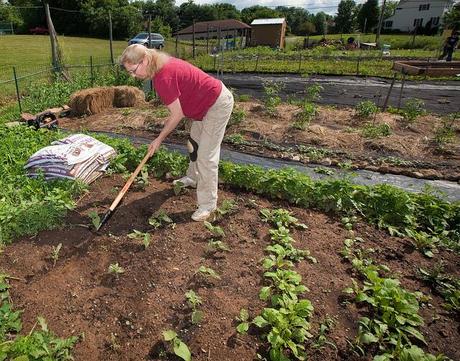 Organic Gardening, its Benefits and Formation Organic Gardening