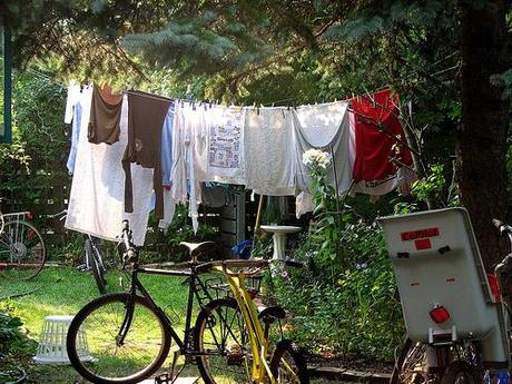 clothesline