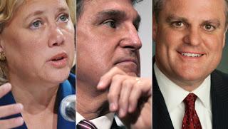 And Then There Were Three: The Three Democratic Holdouts on Marriage Equality and the States' Rights Argument