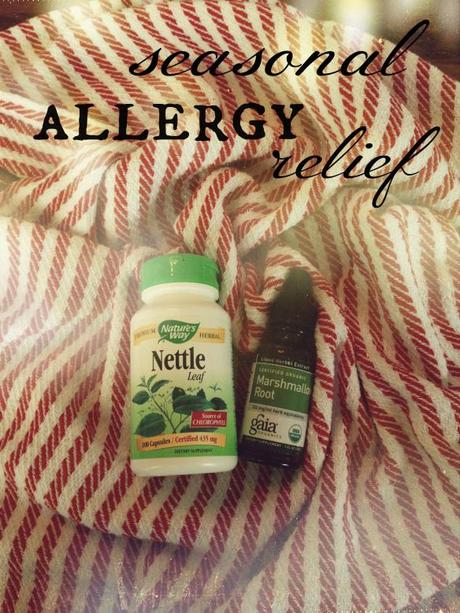 allergy relief header