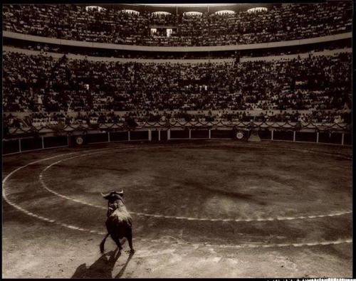 Headed down to Dallas this morning, hoping to steal some time for the rodeo.