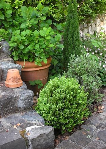 .garden pots