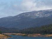 Aussie Update: They're Off...