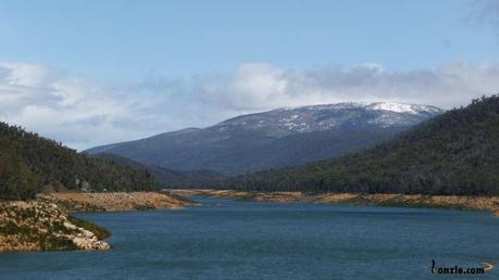 Aussie 8 Update: And They're Off...