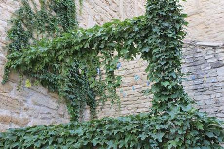 Provence--Gordes