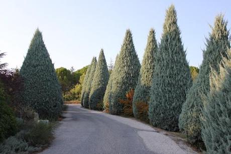 Provence--Gordes