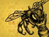 Anarchist Beekeepers Claim Responsibility U.S. Drone Attack