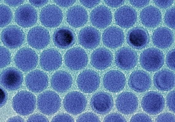 Monodisperse tin nanodroplets in an electron microscopic image. (Image: Maksym Kovalenko / ETH Zürich)