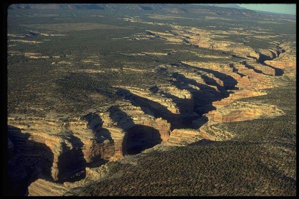 Grand Gulch, one of the landscapes Joe Feller loved and worked to keep natural. From his Picasa web albums.