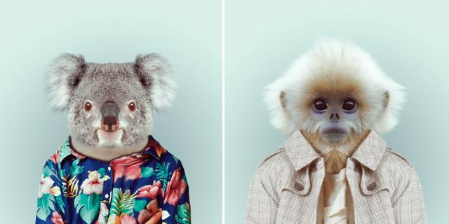 Fashion-Zoo-Animals4