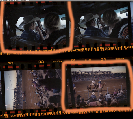 harrymitchell:


Discovered about 20 rolls of film I never looked at.
Rodeo, Texas, 2010


(The beautiful things you find when you’re not even looking for them.)