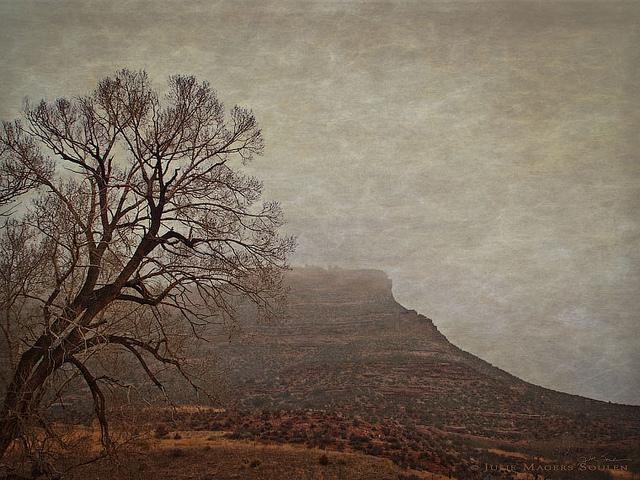 Landscape photography, done in an Old West style, of a foggy mountain landscape with a bare tree and red mesa.