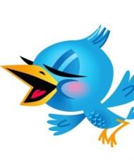 Twitter Blog Birds